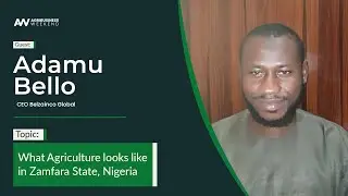 What Agriculture looks like in Zamfara State, Nigeria.