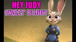 Hey Judy (Sweet Bunny) (Official Audio)