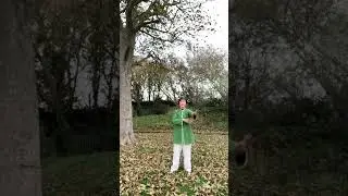 Open Your Lungs With This Simple Twist #martialarts #karate #taekwondo #kungfu #dance