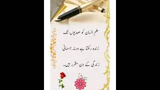 Urdu Quotes | Top Ten Urdu Quotes by Dr. Sajid | part 1