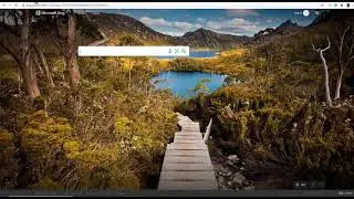 types of search engines