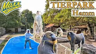 Tierpark Hamm | 2025
