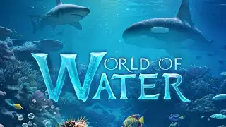 World of Water (Gameplay Android)