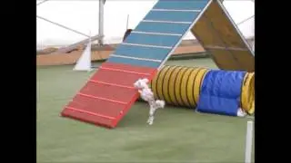 intenzivka s Pavlem Ko&scaron;kem - &Scaron;tef&iacute;