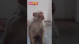 #comedy #funny #180 #reals #video #manas #youtubeshorts #srost #thecomedykingdom #1491 #237 🤣🤣🤣