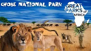 🦁 Great Parks of Africa: | Chobe National Park | Wildlife Documentary 🌱🦒 #wildlife #nature 