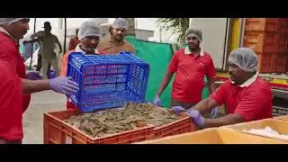 India's Traceability framework  |  A major boost to Fisheries & Seafood Exports