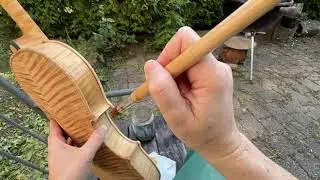 👌🍁🤎 Фоновый цвет на струнной скрипке 🌻 Жиразоль