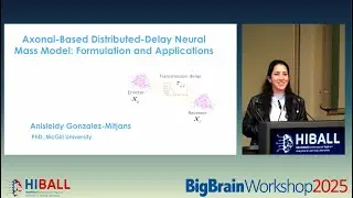 Session 3 - Axonal-Based Distributed-Delay Neural Maxx Model: Formulation And Application