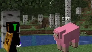 kidnapping a Pink Sheep and calling it Nut, then doing a trial chamber in Minecraft