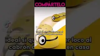 Minion para perros!!! 😱