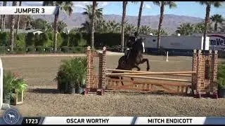 1st Place (Score 87) CPHA Style of Riding at Desert International Horse Park- Ella Dalton