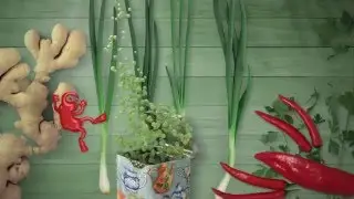 Underwater food adventure. The Green Peas Bubbles episode