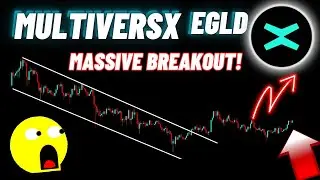 Massive Breakout Of MultiversX Coin | EGLD Crypto News