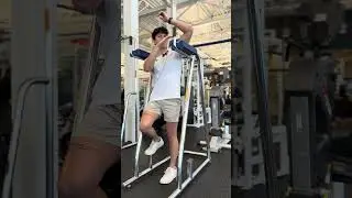Vertical Knee Raise #91 & #92