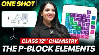 P-Block Elements Class 12 One Shot | All Concepts, Tricks & PYQs | Power Batch NEET 2026 Series
