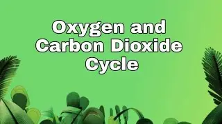 OXYGEN AND CARBON DIOXIDE CYCLE/John Michael Gamboa