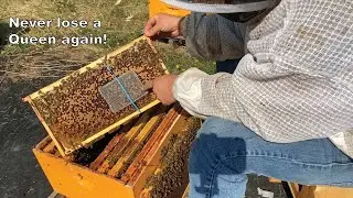 Using a push in Queen cage for the first time!