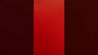 THE WORD OF THE STAKE