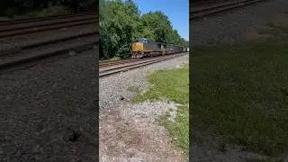 Loaded Trash Train From New York City!