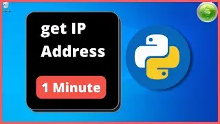 get IP address using Python