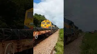 LOADED FREIGHT TRAINS HARD METAL PLATES & IRON ORE | WDG4/D - WDG4G #diesellocomotive #swr #railway
