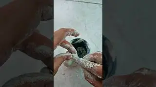 Trash to Treasure |DIY Pot #youtubeshort #diygardening #diygardening #gardening #diydecor #diypot
