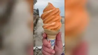 Sam's Pizza Palace and Kohr Bros  Forzen Custard