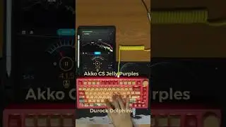 Akko CS Jelly Purple vs Durock Dolphin (Switch Comparison)