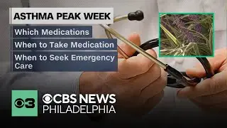 Fall allergies move into high gear during Asthma Peak Week