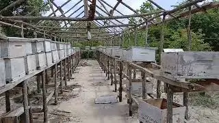 SHAMBA EKARI 350 ZINAKODISHWA VIGWAZA: UNAWEZA KULIMA NA KUFUGA NK