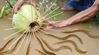 Unbelievable fishing with Eggs | Amazing Create trap fish using Coconut fruit and Eggs