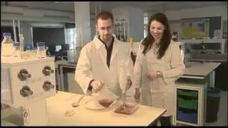 Kitchen Science