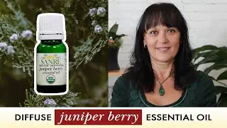 Diffuse Juniper Berry Essential Oil