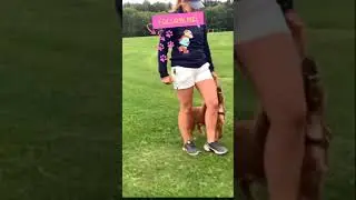Hey, Follow me #Shorts✋🐕&zwj;🦺🐾 #Dogtrainning #Doghacks