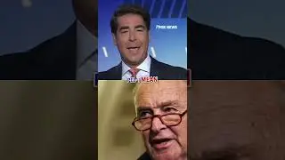 Watters: Schumer looks 'REALLY DUMB' #shorts #usa #politics #foxnews #us #politicalnews