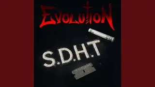S.D.H.T