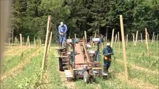 Huron Fruit Systems Installing Trellis Wire With Apple Harvest Platform