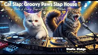 🐱CAT SLAP: Groovy Paws Slap House Vol.2🐾🎶 &ndash; Groovy Beats & Heavy Bass with Paws and Attitude 🐱💿🎶🐾