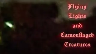 Flying Lights & Camouflaged Creatures Plasma Trees Fast Movers Ectoplasm ⁜