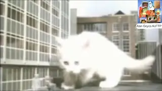 Twinkle the GIANT Cat goes on BIG Rampage