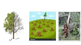 Concept of Health and Disease 2 | UNANI SHAMA COACHING