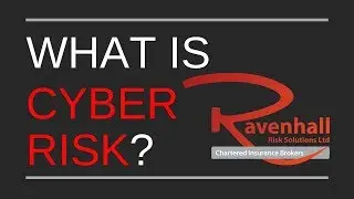 WHAT IS CYBER RISK?