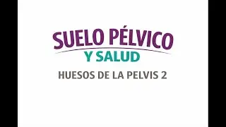 SUELO  P&Eacute;LVICO Y SALUD.  LSE.  HUESOS DE LA PELVIS 2.