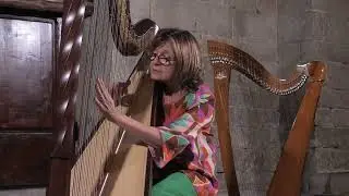 Ma le gambe - G. D&rsquo;Anzi -A.Bracchi - Harp arrangement by Susanna Bertuccioli
