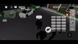 brook haven horse glitch