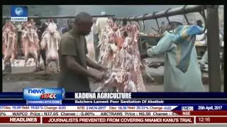 Kaduna Butchers Lament Poor Sanitation Of Abattoir