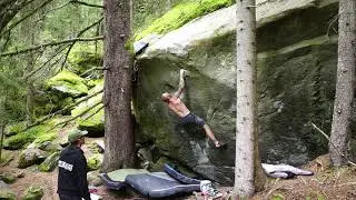 Steppenwolf 8B