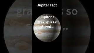 Jupiter Fact - Jupiter's gravity is so strong