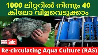Recirculating Aqua Culture | How does work RAS Fish Farming | Malayalam